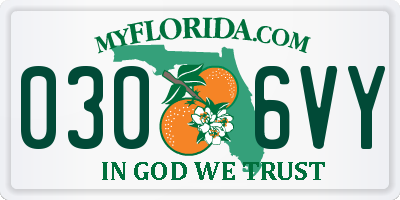 FL license plate 0306VY