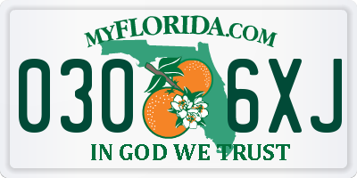 FL license plate 0306XJ