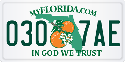 FL license plate 0307AE