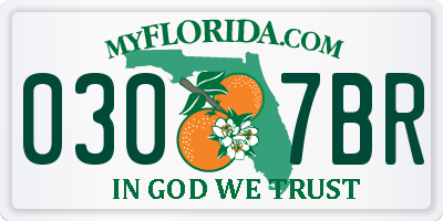 FL license plate 0307BR