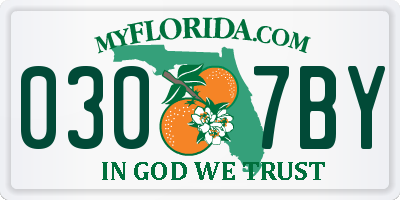 FL license plate 0307BY