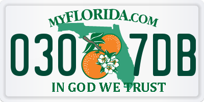 FL license plate 0307DB