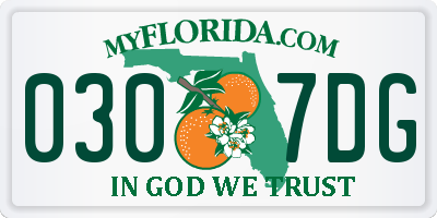 FL license plate 0307DG