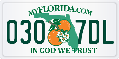 FL license plate 0307DL