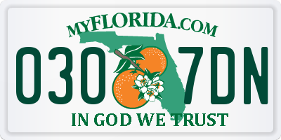 FL license plate 0307DN
