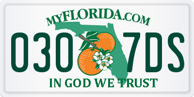 FL license plate 0307DS