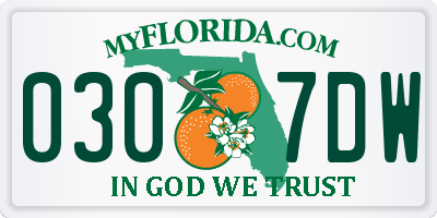 FL license plate 0307DW