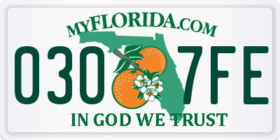 FL license plate 0307FE