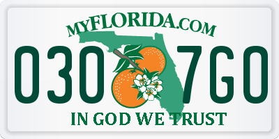 FL license plate 0307GO