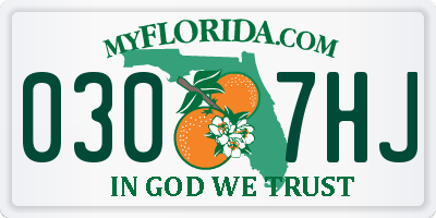 FL license plate 0307HJ