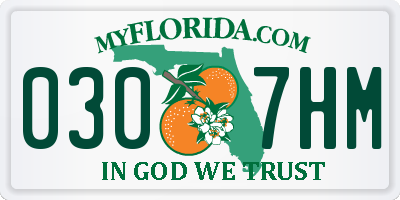 FL license plate 0307HM