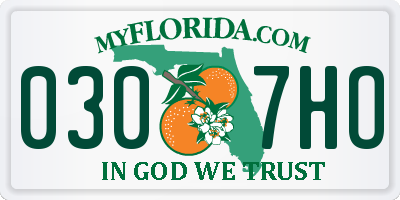 FL license plate 0307HO