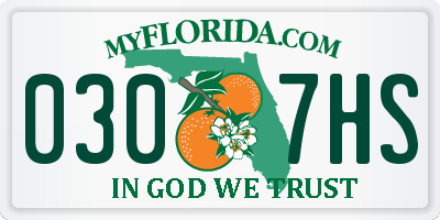 FL license plate 0307HS