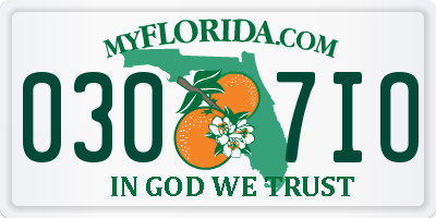 FL license plate 0307IO