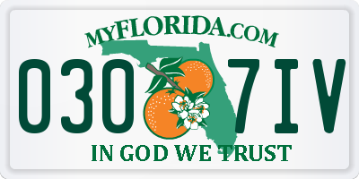 FL license plate 0307IV