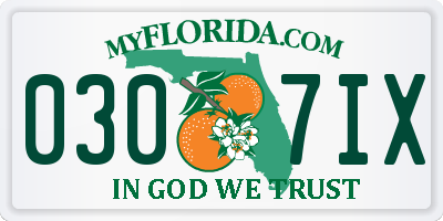 FL license plate 0307IX