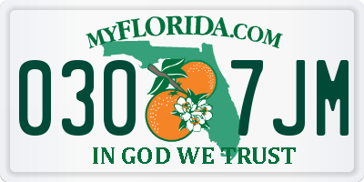 FL license plate 0307JM