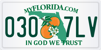 FL license plate 0307LV