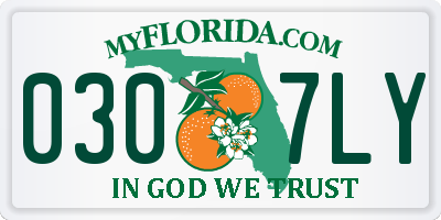 FL license plate 0307LY