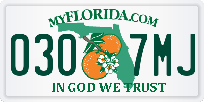 FL license plate 0307MJ