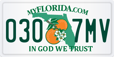 FL license plate 0307MV