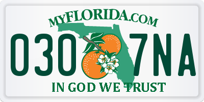 FL license plate 0307NA