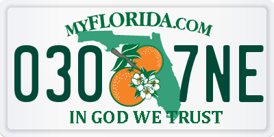 FL license plate 0307NE