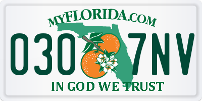 FL license plate 0307NV