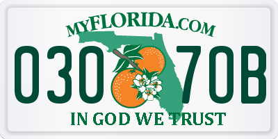 FL license plate 0307OB