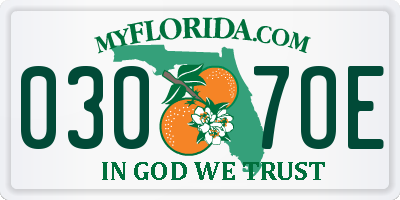 FL license plate 0307OE