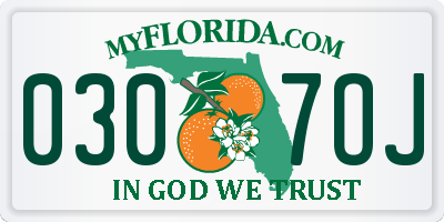 FL license plate 0307OJ