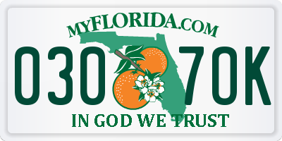 FL license plate 0307OK