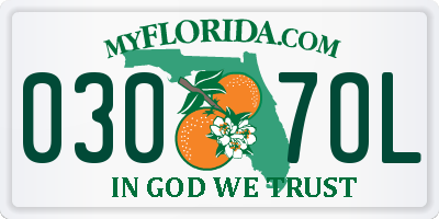 FL license plate 0307OL