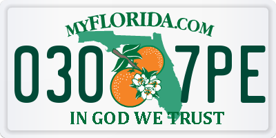 FL license plate 0307PE