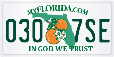 FL license plate 0307SE