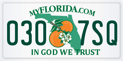 FL license plate 0307SQ