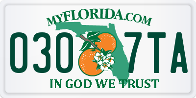 FL license plate 0307TA