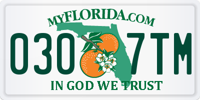 FL license plate 0307TM