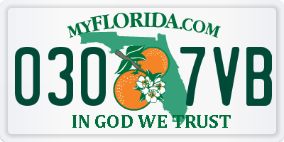 FL license plate 0307VB