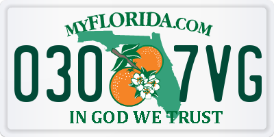 FL license plate 0307VG