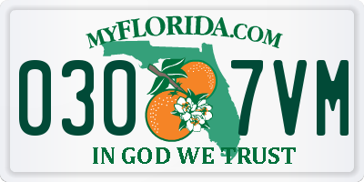FL license plate 0307VM