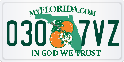 FL license plate 0307VZ