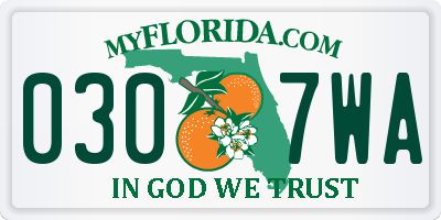 FL license plate 0307WA