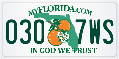 FL license plate 0307WS