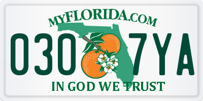 FL license plate 0307YA