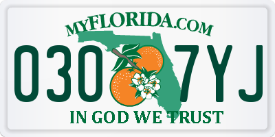 FL license plate 0307YJ