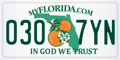 FL license plate 0307YN