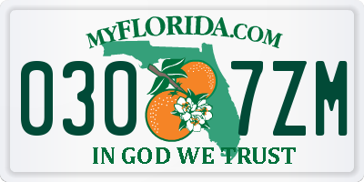 FL license plate 0307ZM