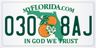 FL license plate 0308AJ
