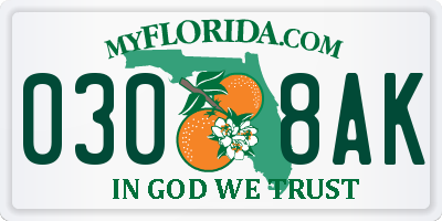 FL license plate 0308AK